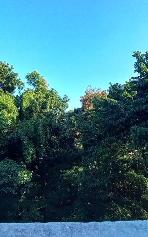 Apartamento à venda com 45m², 2 quartos e 1 vaga