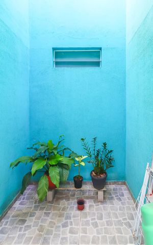 Casa à venda com 150m², 3 quartos e 2 vagasJardim de Inverno
