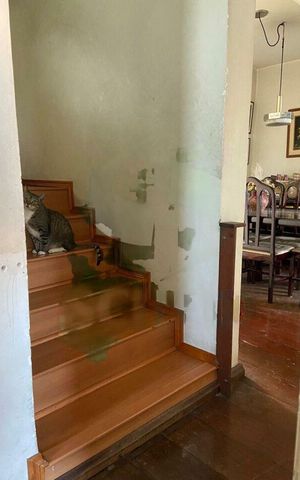 Apartamento à venda com 250m², 4 quartos e 2 vagas