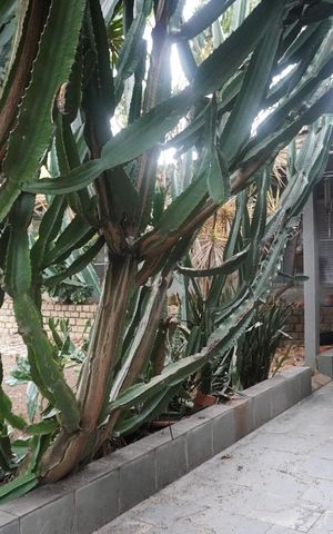 Casa à venda com 327m², 2 quartos e 4 vagasÁrea Externa