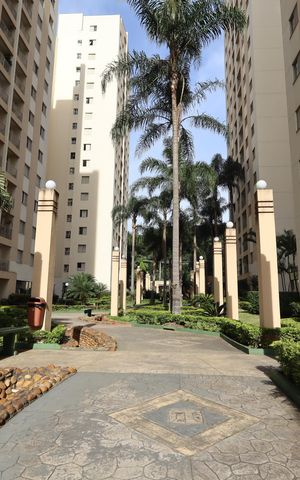 Apartamento à venda com 65m², 3 quartos e 1 vagaÁrea comum