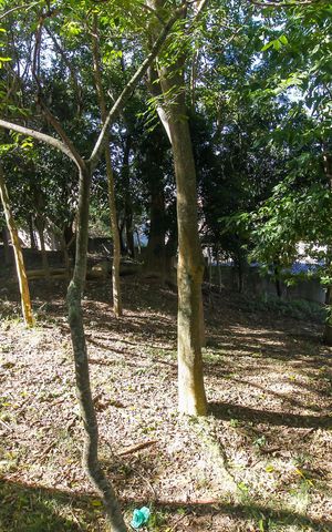 Apartamento à venda com 40m², 2 quartos e 1 vaga Apartamento à venda com 40m², 2 quartos e 1 vagaBosque