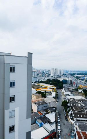 Apartamento para alugar com 44m², 2 quartos e 1 vagaVista do Quarto 1