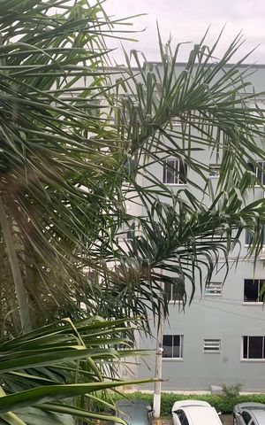 Apartamento para alugar com 49m², 2 quartos e 1 vaga Apartamento para alugar com 49m², 2 quartos e 1 vagaVista do Quarto 1