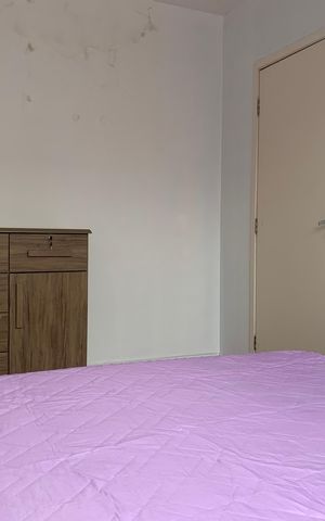 Apartamento para alugar com 49m², 2 quartos e 1 vaga Apartamento para alugar com 49m², 2 quartos e 1 vaga Quarto 2