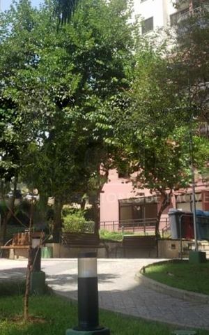 Apartamento à venda com 70m², 3 quartos e 1 vaga