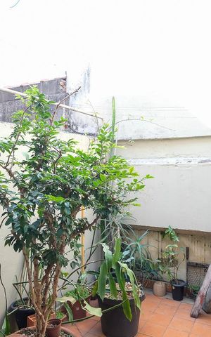 Casa à venda com 120m², 3 quartos e 2 vagasÁrea de serviço