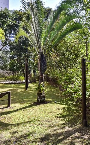 Apartamento à venda com 260m², 3 quartos e 4 vagasJardim