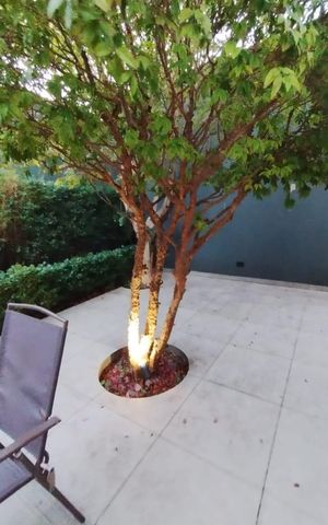 Casa à venda com 360m², 2 quartos e 2 vagas Casa à venda com 360m², 2 quartos e 2 vagasÁrea externa