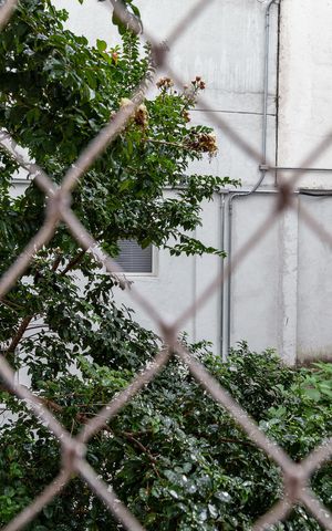 Apartamento à venda com 52m², 2 quartos e 1 vagaQuarto 1 - vista
