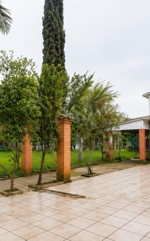 Casa para alugar com 520m², 4 quartos e 5 vagas