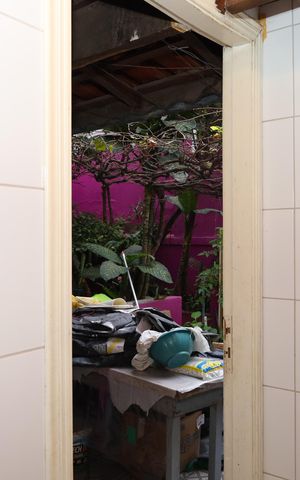 Casa à venda com 208m², 2 quartos e 5 vagasBanheiro 4 - Área externa