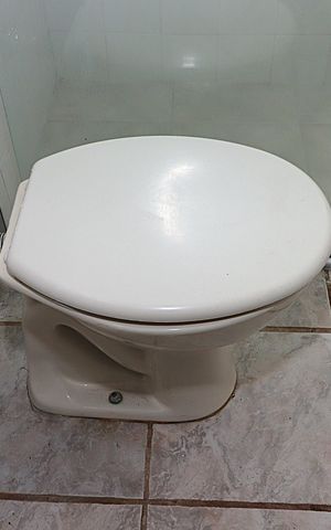 Apartamento à venda com 63m², 2 quartos e sem vagaBanheiro