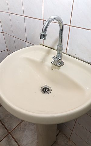 Apartamento à venda com 63m², 2 quartos e sem vagaBanheiro