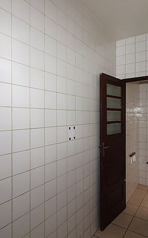Apartamento à venda com 63m², 2 quartos e sem vagaCozinha