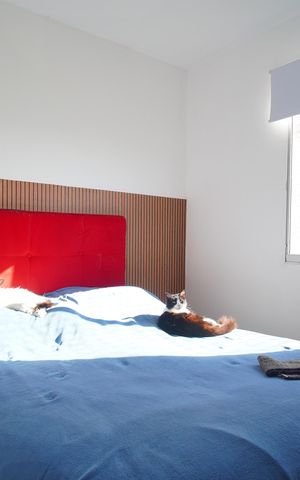 Apartamento à venda com 92m², 3 quartos e 1 vagaQuarto 1