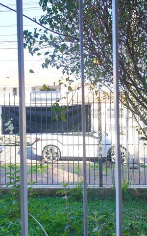 Casa para alugar com 220m², 4 quartos e 3 vagasVista da Sala