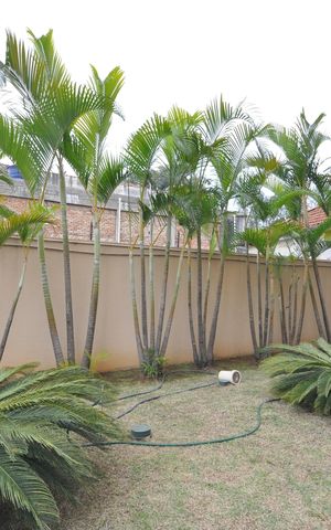 Apartamento para alugar com 78m², 3 quartos e 2 vagasJardim