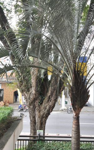 Apartamento para alugar com 78m², 3 quartos e 2 vagasVista do Quarto 3