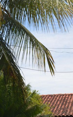 Casa de condomínio à venda com 200m², 4 quartos e 4 vagas Casa de condomínio à venda com 200m², 4 quartos e 4 vagasÁrea Externa