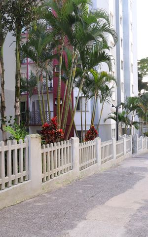 Apartamento à venda com 48m², 2 quartos e 1 vagaÁrea externa