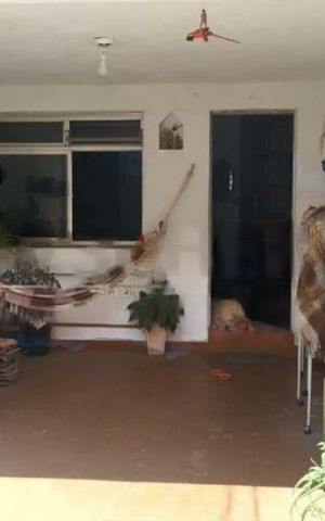 Casa à venda com 96m², 2 quartos e 1 vaga