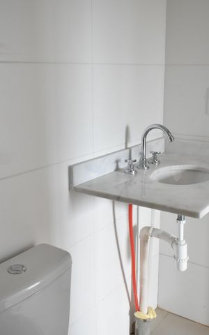 Apartamento à venda com 53m², 2 quartos e 1 vagaBanheiro