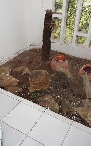 Casa para alugar com 3500m², 4 quartos e 4 vagasBanheiro