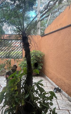 Casa à venda com 269m², 3 quartos e 3 vagas