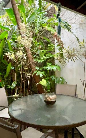 Casa à venda com 580m², 3 quartos e 5 vagasQuintal
