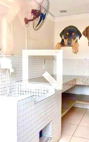 Apartamento para alugar com 57m², 3 quartos e 1 vaga Apartamento para alugar com 57m², 3 quartos e 1 vagaEspaço pet