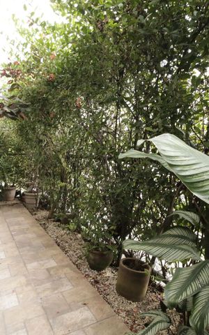 Apartamento à venda com 60m², 2 quartos e 1 vagaGarden