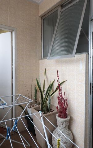 Apartamento para alugar com 205m², 4 quartos e 2 vagasÁrea de Serviço
