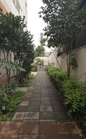 Apartamento à venda com 24m², 1 quarto e sem vagaÁrea comum