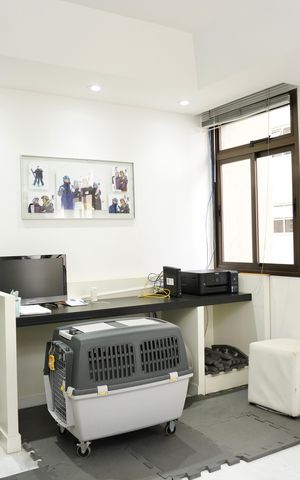 Apartamento à venda com 240m², 4 quartos e 3 vagas Apartamento à venda com 240m², 4 quartos e 3 vagasSala 2