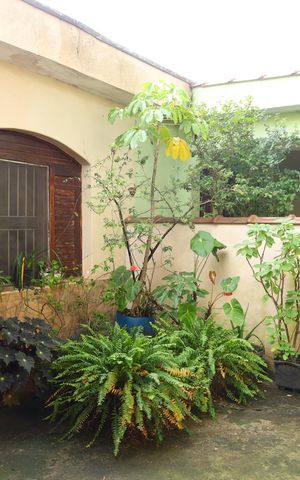 Casa à venda com 320m², 2 quartos e 3 vagasCasa 1 - Garagem