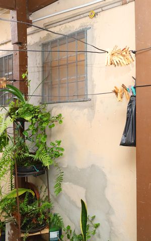 Casa à venda com 320m², 2 quartos e 3 vagasCasa 3 - Quintal