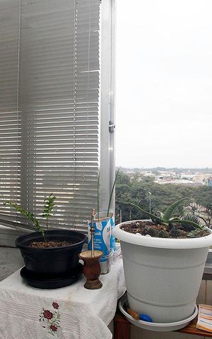 Apartamento à venda com 80m², 2 quartos e sem vagaCozinha + Área de Serviço