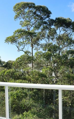 Apartamento para alugar com 200m², 3 quartos e 3 vagasÁrea comum