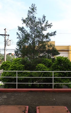 Apartamento à venda com 56m², 2 quartos e 1 vagaÁrea de Serviço