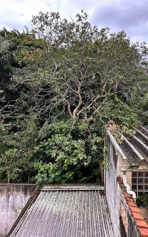 Casa à venda com 80m², 2 quartos e 1 vaga Casa à venda com 80m², 2 quartos e 1 vagaVista da Sacada do Quarto 2