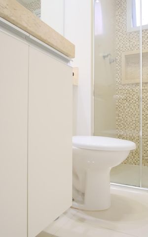 Apartamento à venda com 49m², 2 quartos e 1 vagaBanheiro