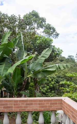 Casa à venda com 650m², 4 quartos e 4 vagasÁrea comum