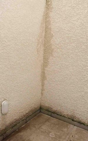 Apartamento à venda com 42m², 2 quartos e sem vaga Apartamento à venda com 42m², 2 quartos e sem vagaQuintal