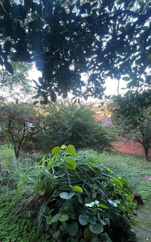 Casa à venda com 136m², 3 quartos e 2 vagas