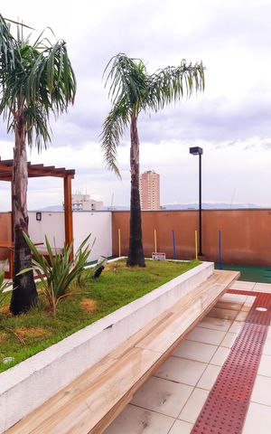 Apartamento para alugar com 50m², 2 quartos e 1 vaga Apartamento para alugar com 50m², 2 quartos e 1 vagaEspaço Pet