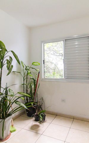 Apartamento para alugar com 60m², 2 quartos e sem vaga Apartamento para alugar com 60m², 2 quartos e sem vagaQuarto 2