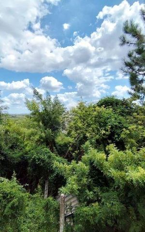 Apartamento para alugar com 45m², 2 quartos e 1 vaga