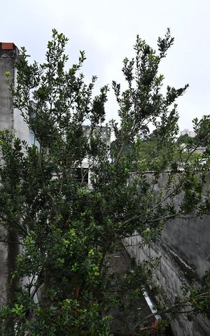 Casa à venda com 90m², 3 quartos e 2 vagasVista do Quarto 