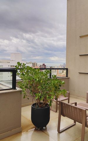 Apartamento para alugar com 95m², 3 quartos e 2 vagasÁrea comum